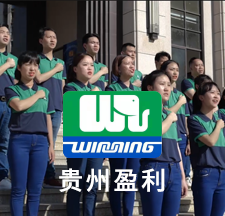 贵州盈利-《我们的梦》激昂大气